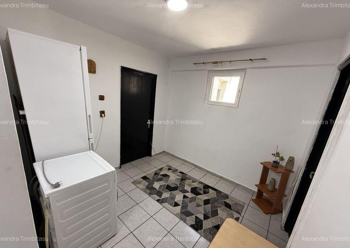 Apartament 2 Camere Teiul Doamnei Lacul Tei - 12