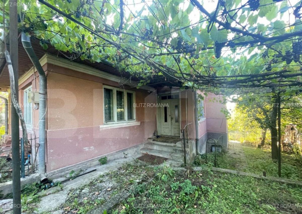 Casa de vanzare, 70 mp , teren de 3000 mp , Cacova Ierii - 12