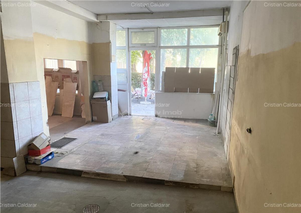 Spatiu Comercial 54 mp - Calea Aradului - Iosia - 3