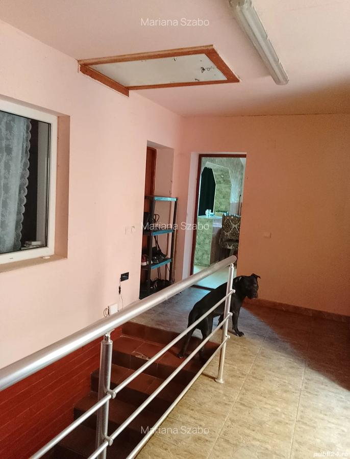 Vand casa in Timi?oara,Calea Urseni - 3