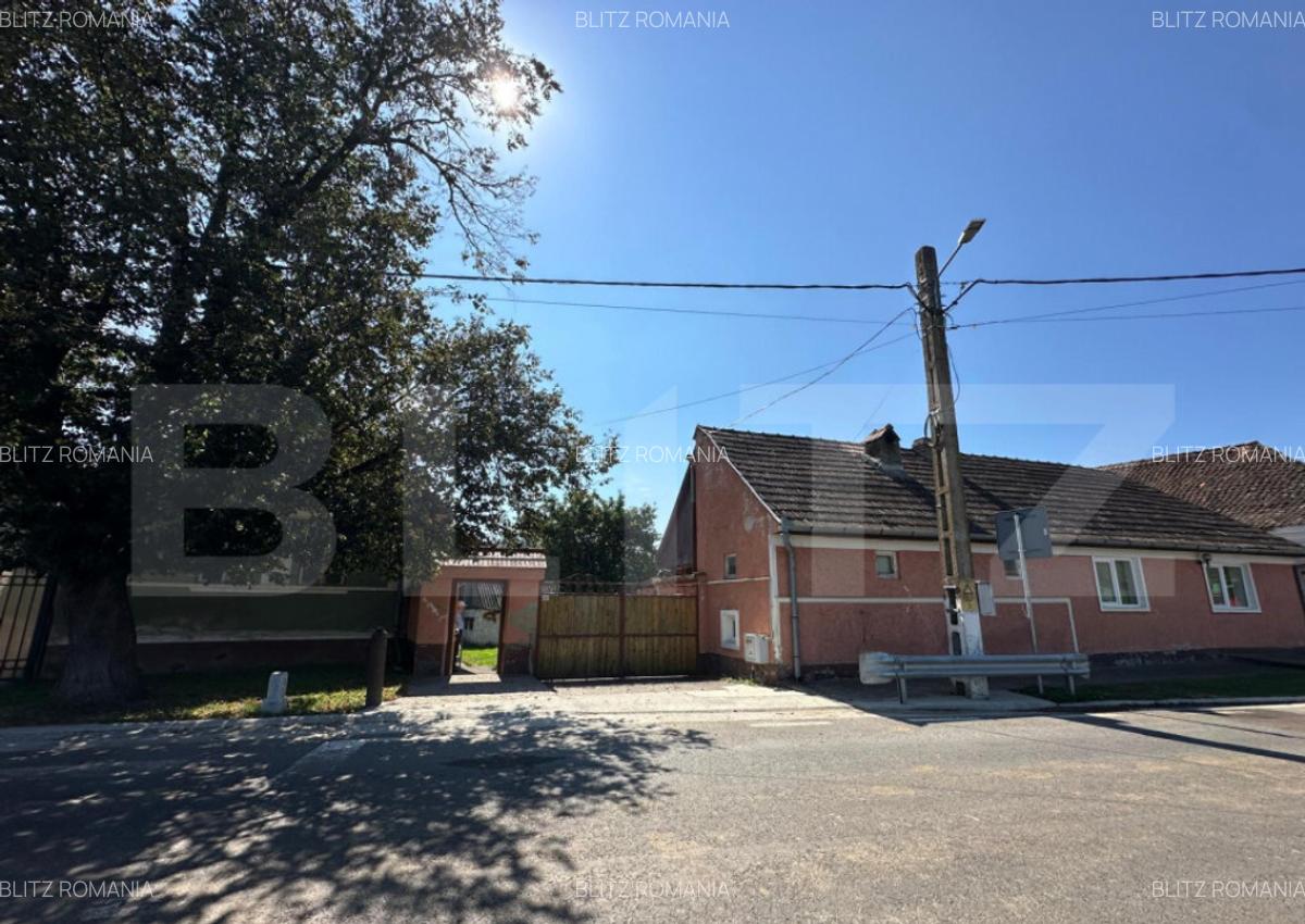 Casa saseasca de vanzare, curte, gradina, teren 3000 mp - Ji - 1