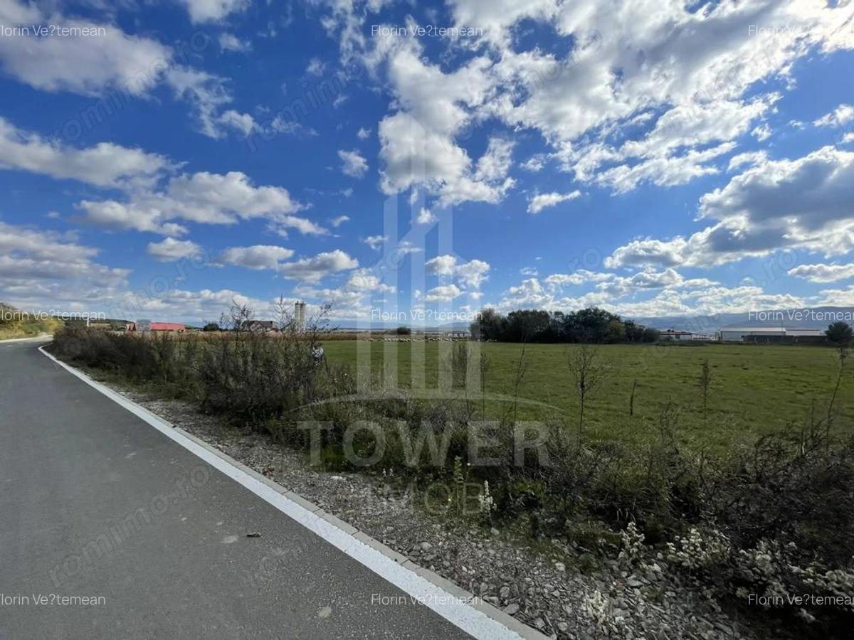 Teren industrial de vanzare in Cristian 6.000 mp, deschidere la drum asfaltat - 7