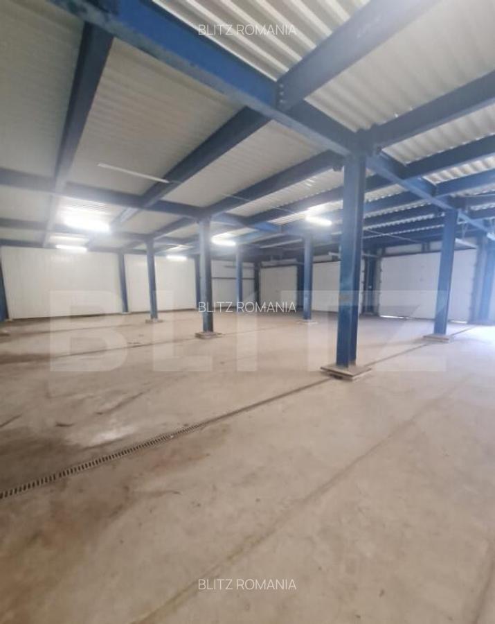 Hala open space, 400 mp, inaltime 4,5 m, Luna de Sus - 11