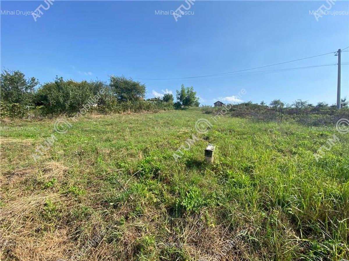 Teren intravilan cu acces utilitati in Sura Mare din Sibiu - 2