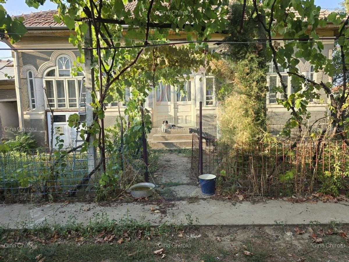 Casa noua + casa veche boiereasca renovabila - 6