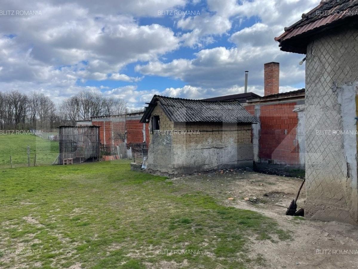 Casa cu 2 camere, 91 mp, teren 3.400 mp, zona comuna Apa - 15
