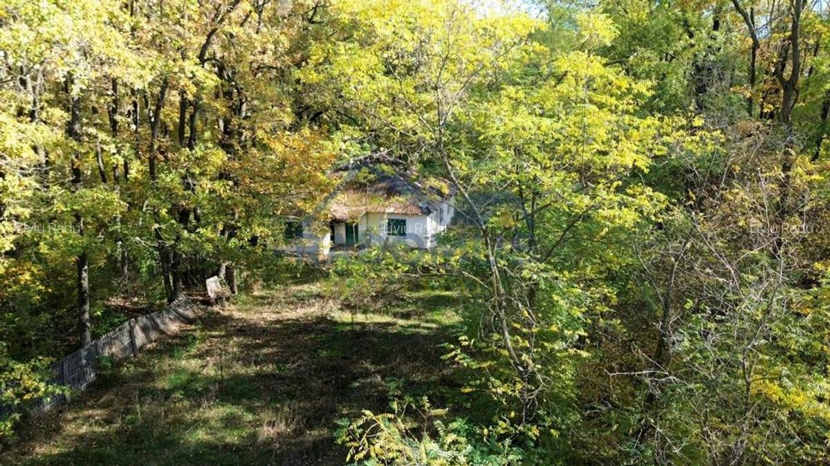 TEREN INTRAVILAN IN PADURE LA VARBILA - PRAHOVA COMISION 0% - 2