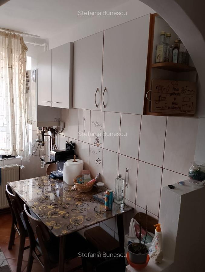 Apartament de vanzare - 2 camere | 47 mp | zona Terezian - 9