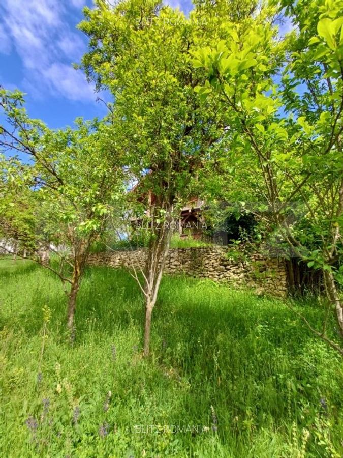 Casa 3 camere si teren 4873 mp  in Pietroasa, Moldovenești - 2