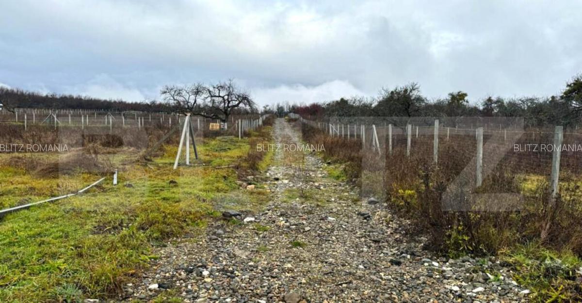 Teren extravilan de vanzare, 1.057 mp, zona Sigmir - 3