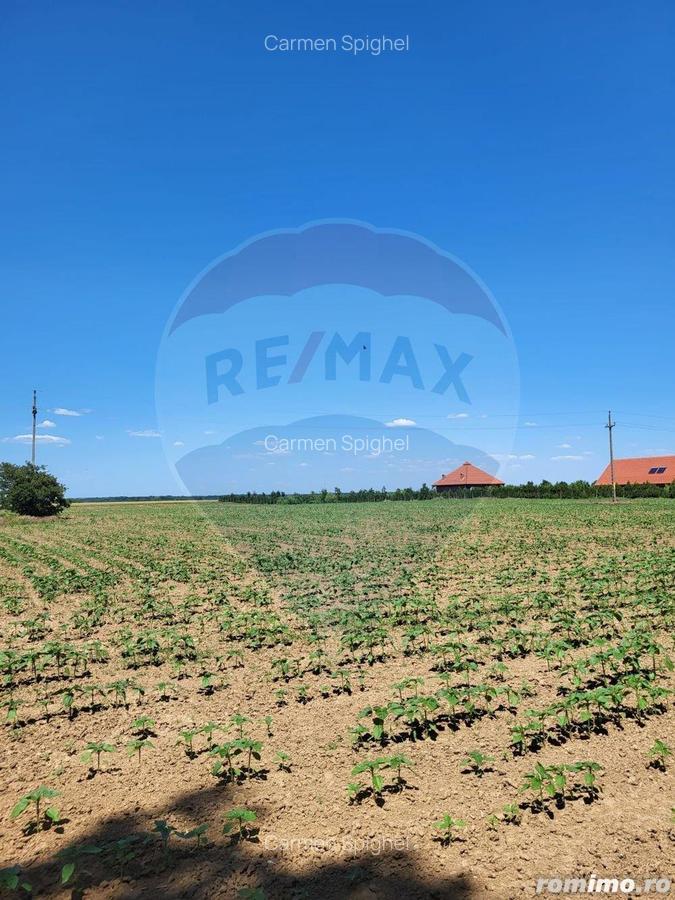 Teren intravilan 36500 mp Ciolpani, f.s 105 ml. - 3