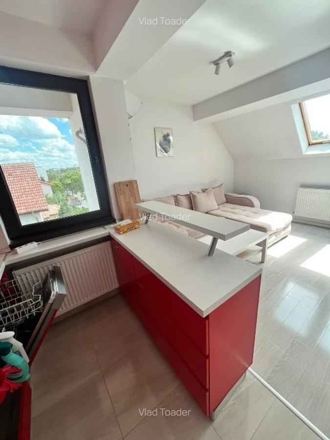 2 camere Jiului - 9
