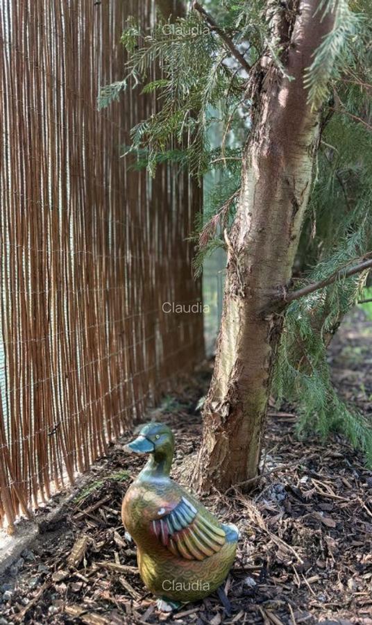 Duplex Confort ?i intimitate Dumbravi?a in fa?a - 4