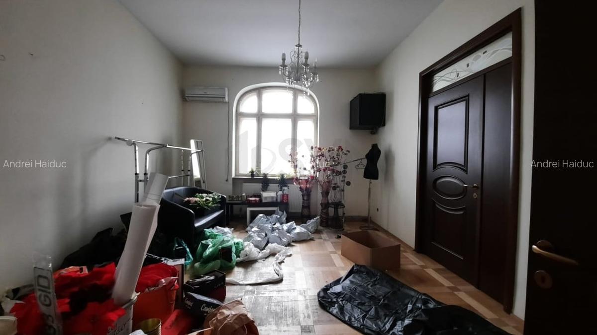 REV0017192 Piata Victoriei - VIla interbelica cu gradina - 12