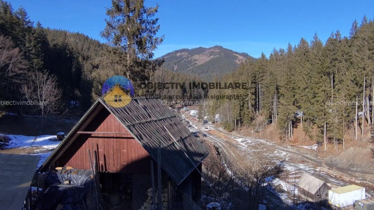Refugiu Natural: Casa si Teren Inconjurat de Padure ! - 1