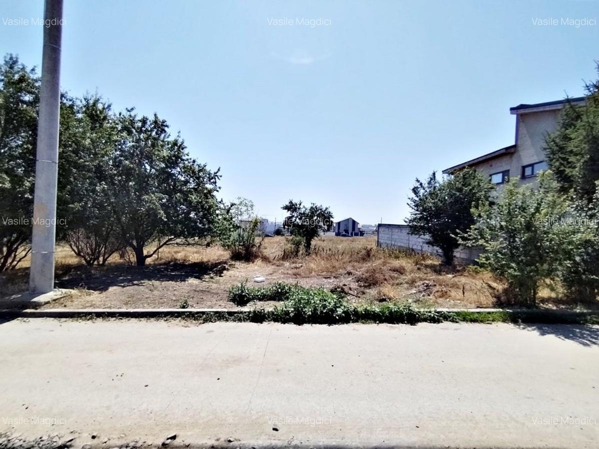 Ovidiu - loturi de teren intravilan cu utilitati - 6