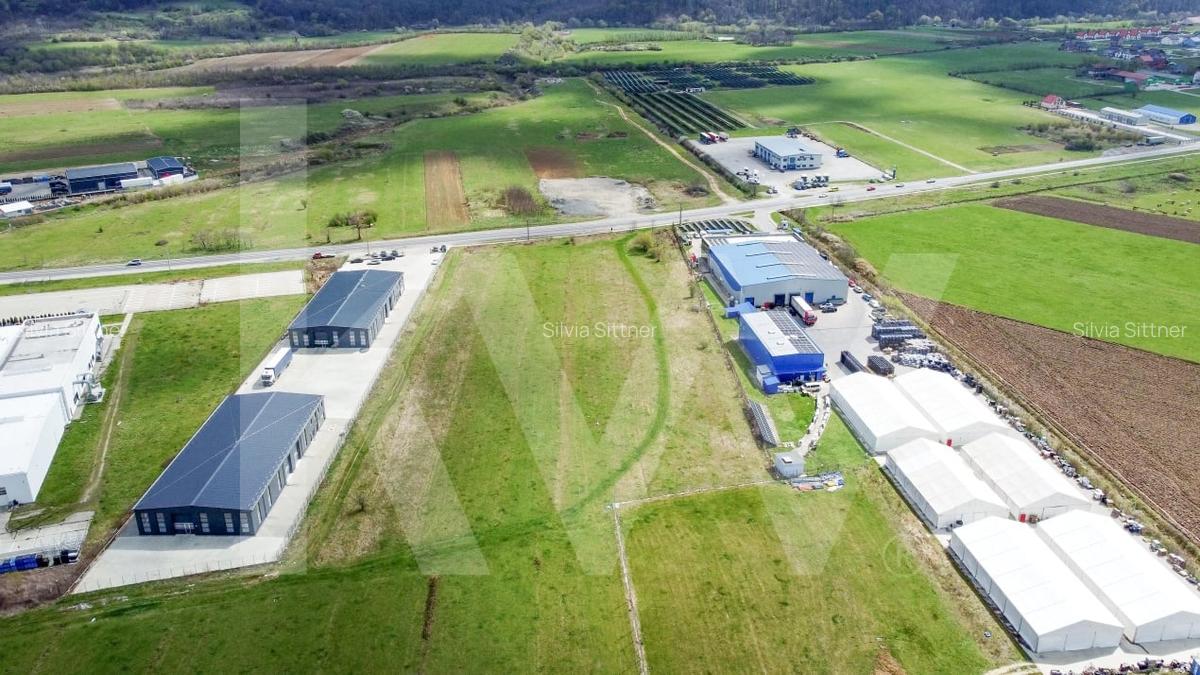 Oportunitate de Investitie sau Constructie Hala - Teren 3.900 mp | Talmaciu - 7