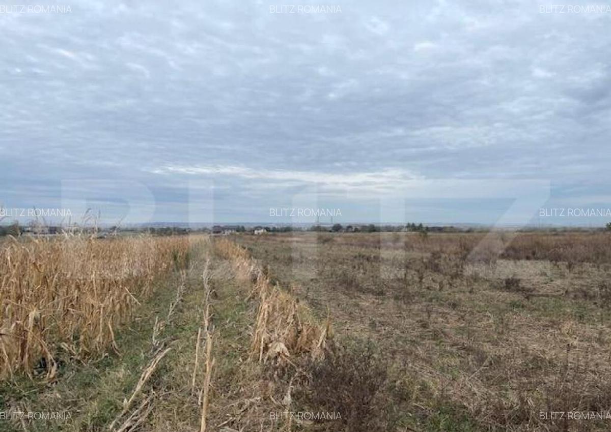 Teren extravilan de 2539 mp in Dudovicesti - 5