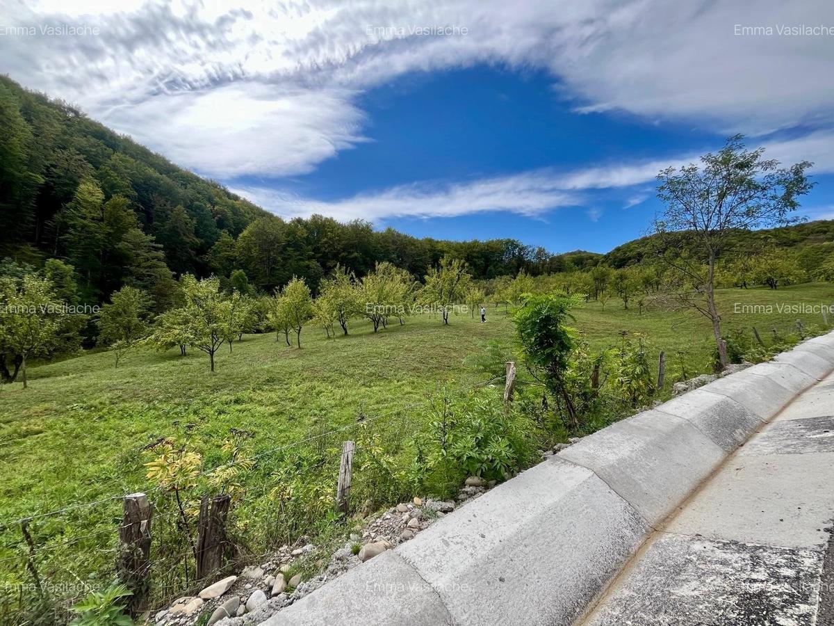 Teren 5.600 mp – Liniște, Natură și Verdeață | 11€/mp - Comisin 0% - 8