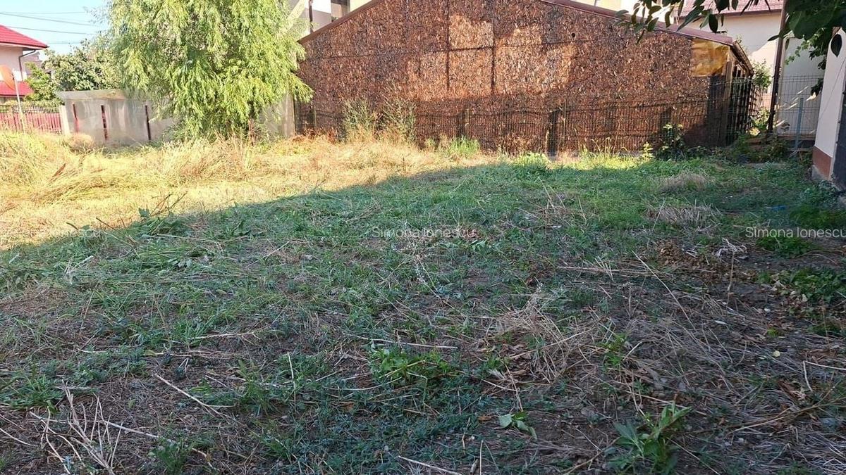 De vânzare - teren - Chiajna - Roșu la limita cu Sector 6 - 6