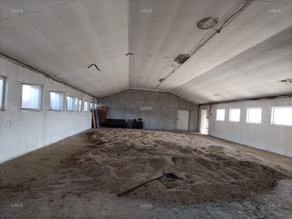 Spațiu comercial, 800 mp în Hălchiu - 10