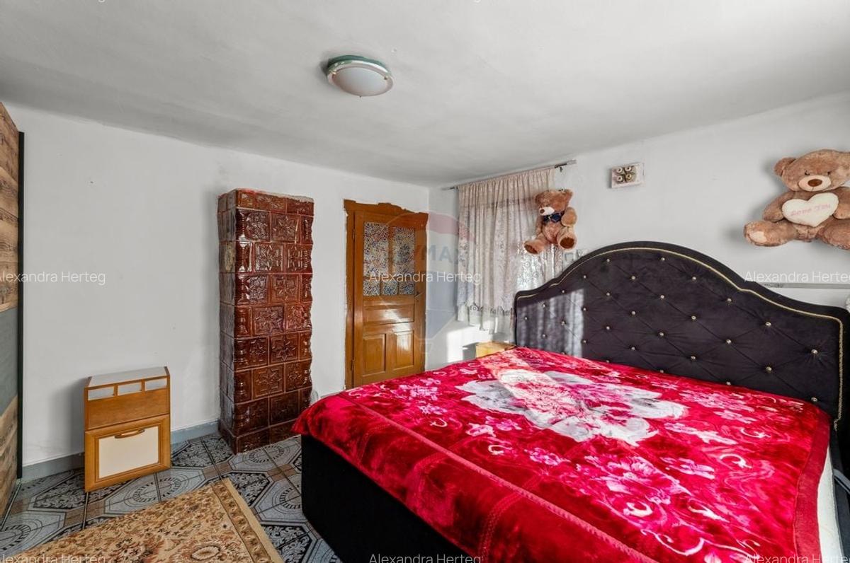 Casa cu 5 camere in Barzava - 4