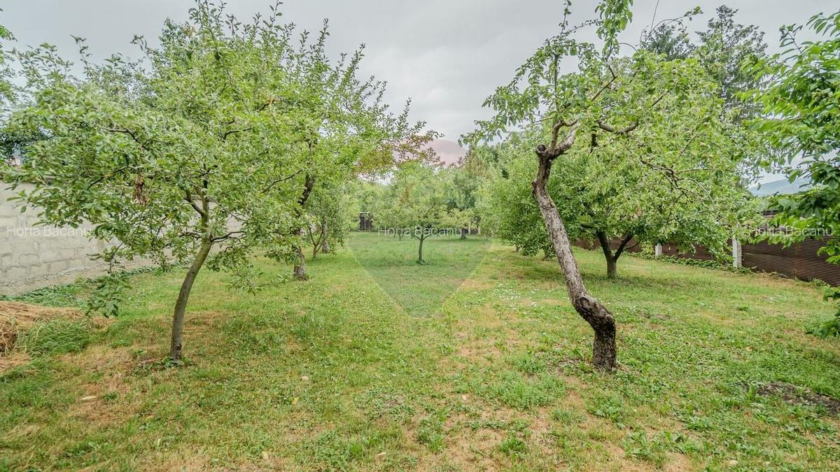 Comision 0 | Casa cu 3 camere, teren 1541 mp, livada, beci si garaj - 2