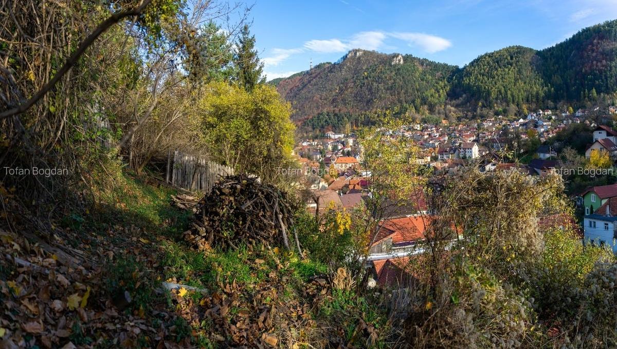 OPORTUNITATE UNICĂ Schei 620mp Vedere Spectaculoasă Tâmpa | Proprietar - 14