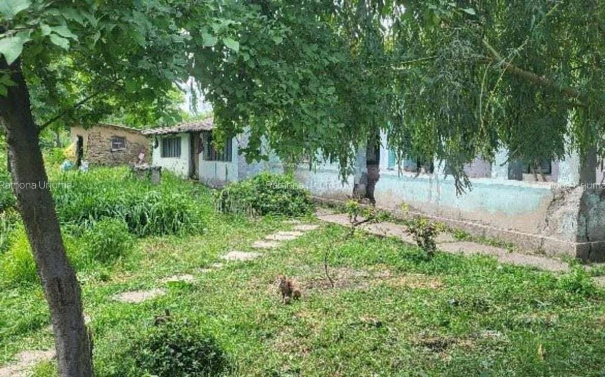 Casa si teren, loc Dragalina, Jud. Calarasi-03.03 - 5