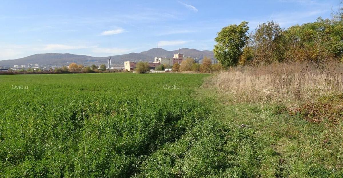 Vand teren intravilan in Deva suprafata totala 43 000 mp, zona Auchan - 7