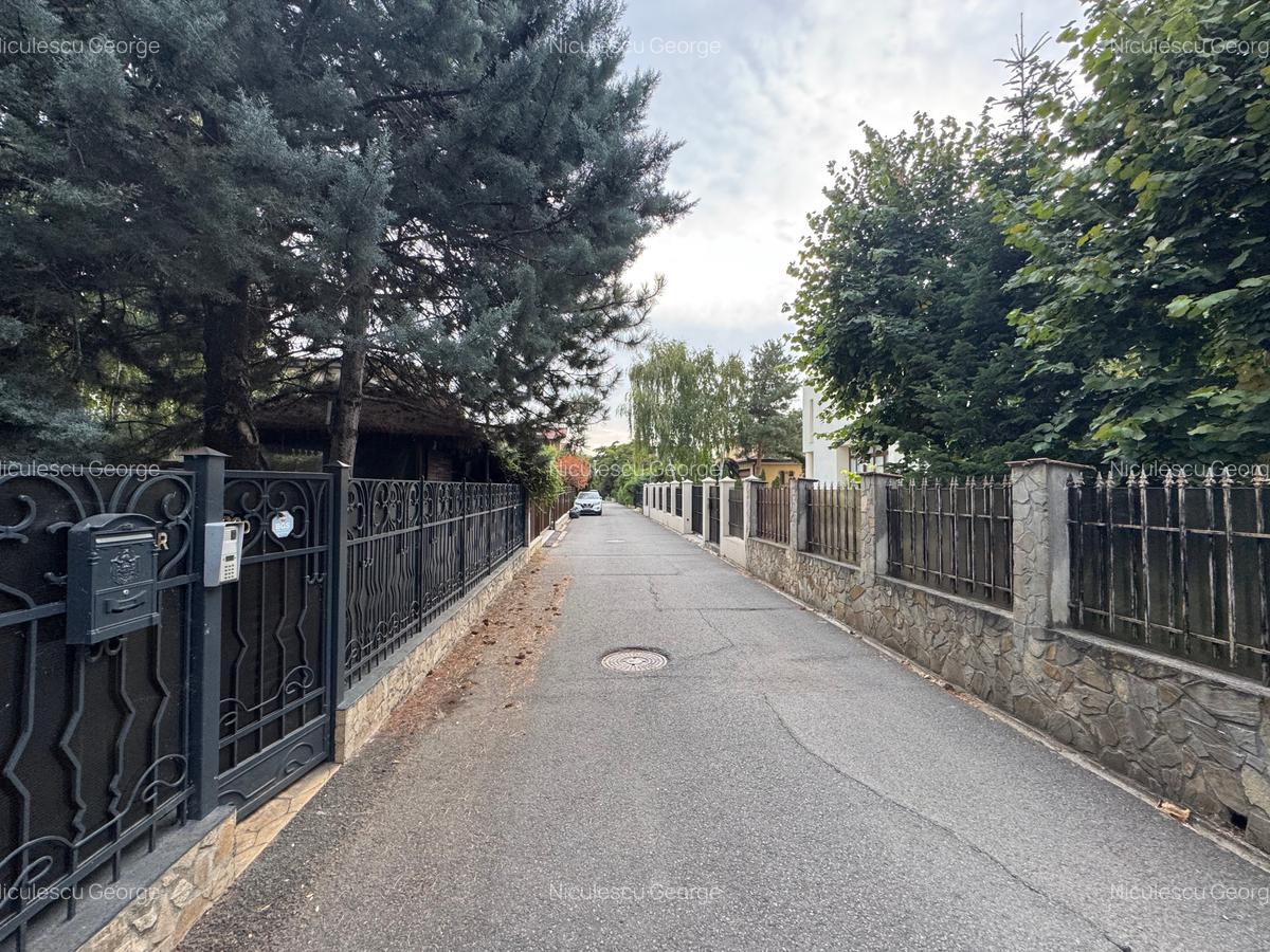 Vilă deosebită D+P+1E+P/ zona exclusivistă/Iancu Nicolae - 8