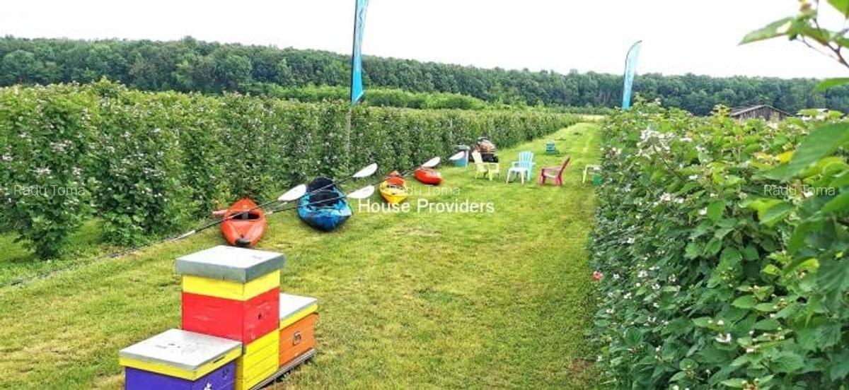 Teren Snagov Izvorani, loturi 500 - 1000Mp - 4