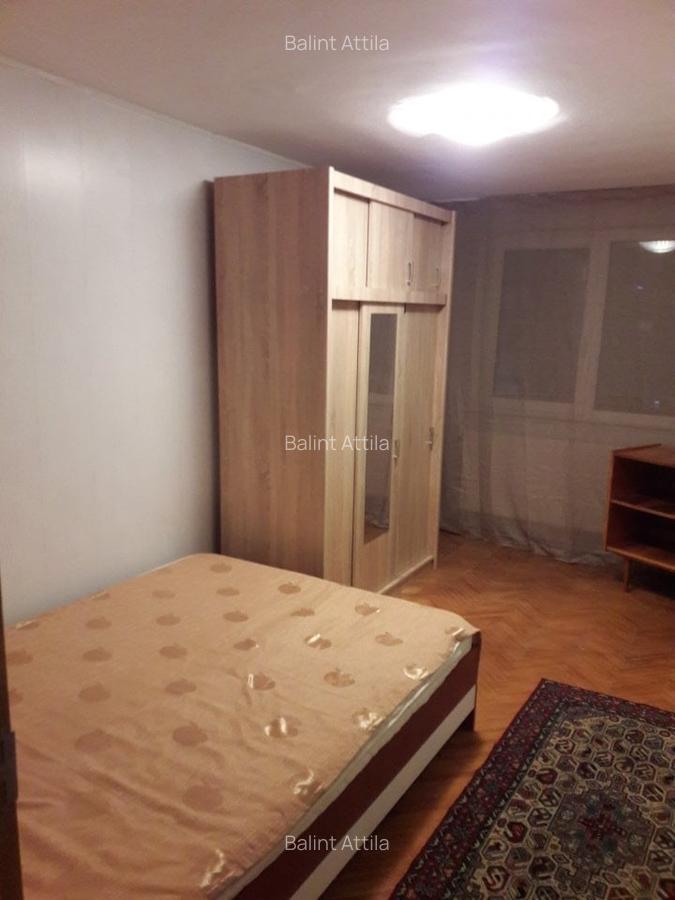 Sagului- Piata Doina 3 camere 400 euro - 1