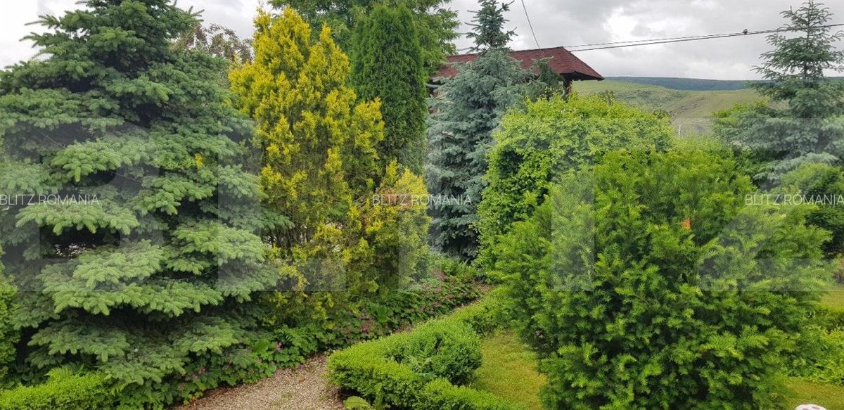 Proprietate HORECA cu sala de evenimente moderna, intr-o oaza de liniste - 4