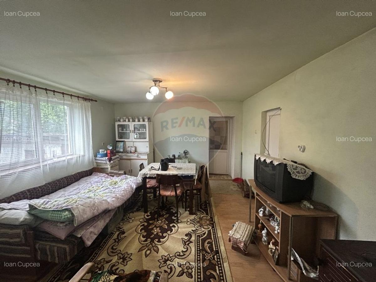 Casa cu 2 camere si 2 ari de teren de vanzare in zona centrala - 11