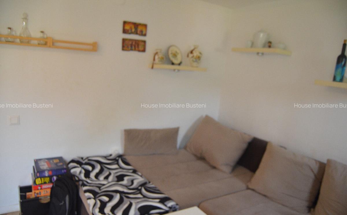 Busteni-Valea Alba-Casa de vacanta cu patru camere - 1