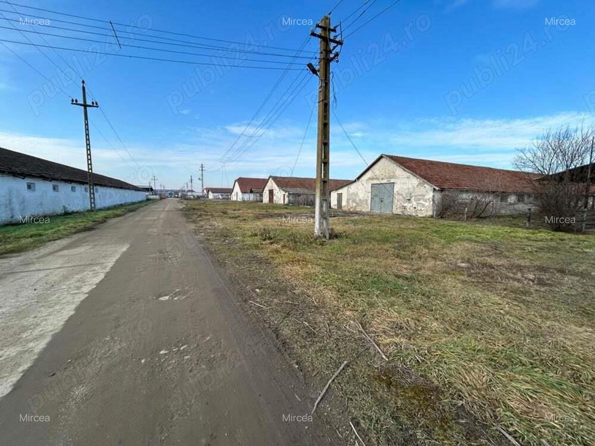 Vand teren intravilan,zona industriala,st.16,8 ha. + 8 ha.agricol,in Sanicolau Mare, la DN6,la sosea - 7