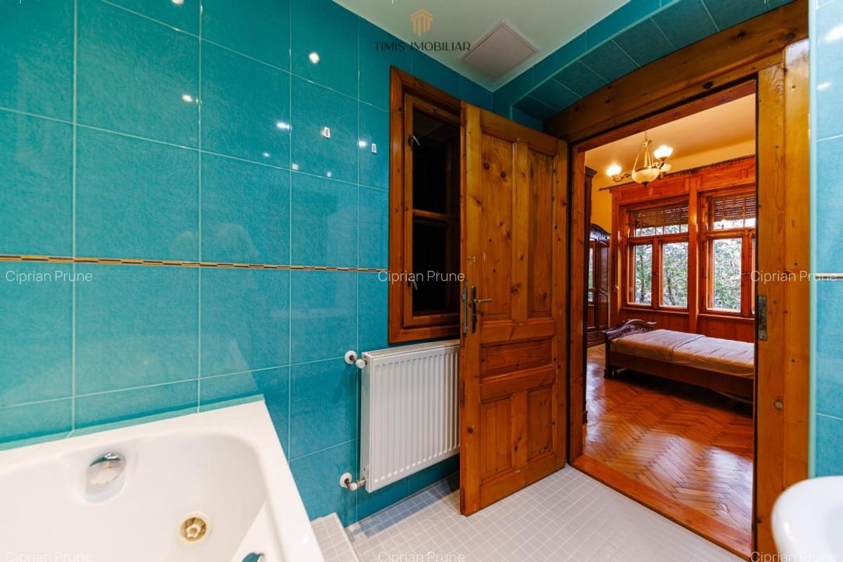 Apartament cu terasa si boxa, in Palatul Adolf Hanecker | Mal Bega - 29