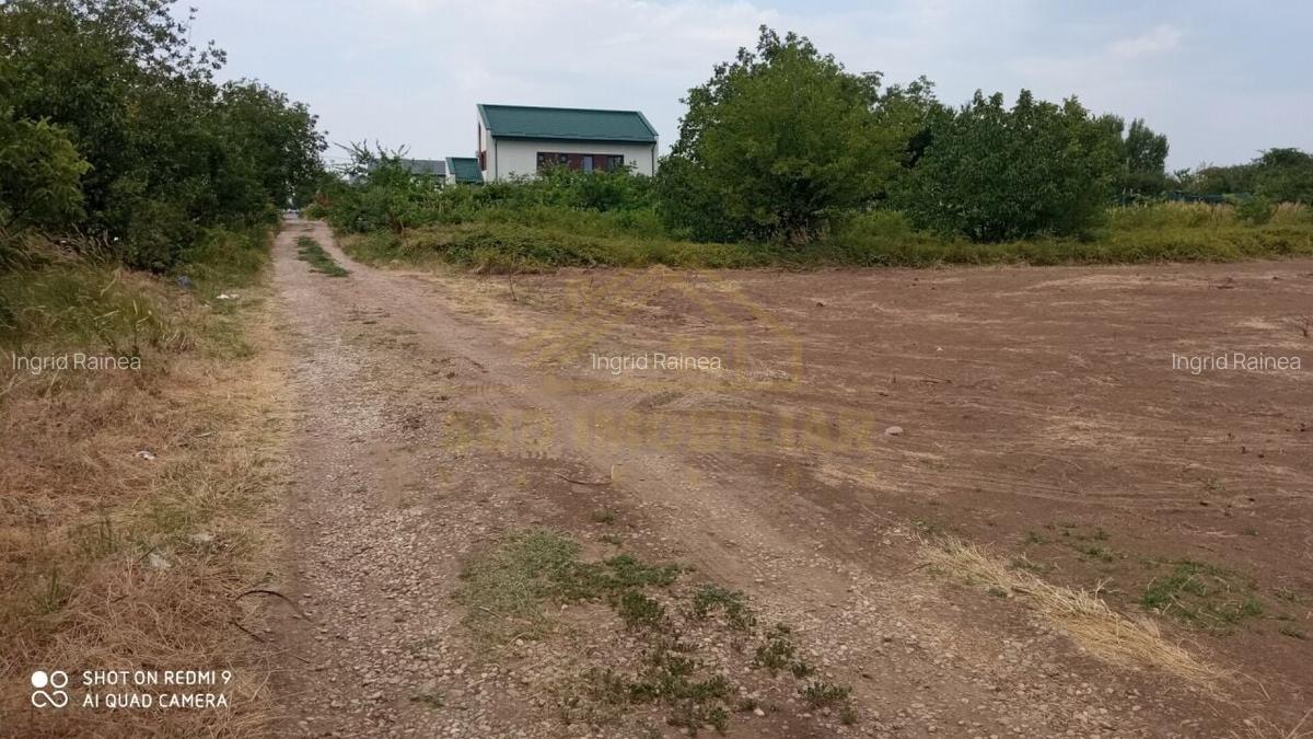 TEREN INTRAVILAN-2000 MP-STR SCOLII - 10