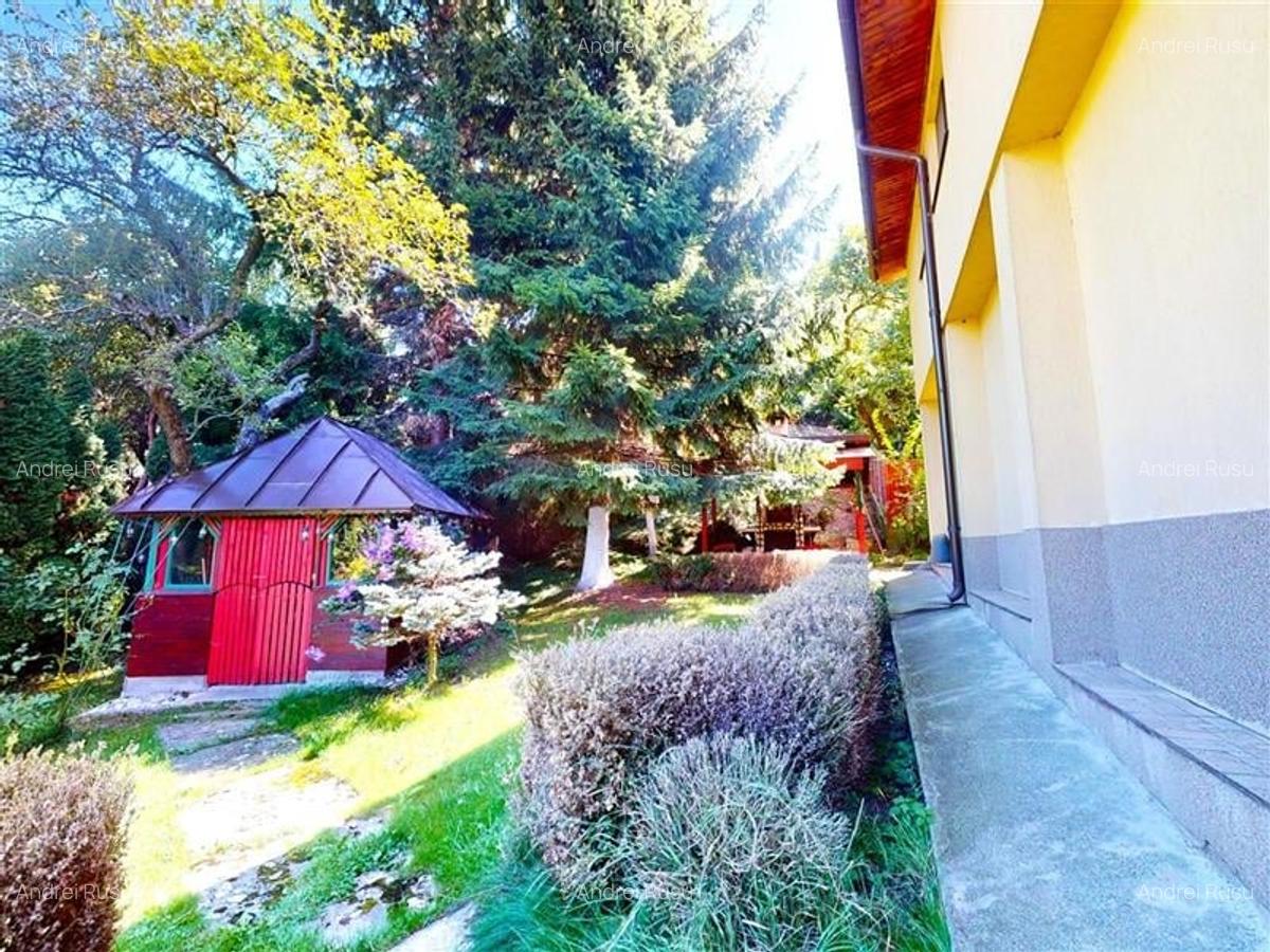 Tur LIVE!Casa cu arhitectura traditionala, curte spatioasa,foisor,Rucar-Bran - 16