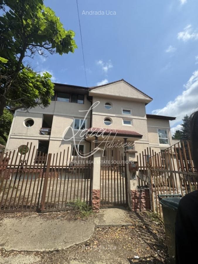 Vila versatila Iancu Nicolae - rezidenta, comercial sau clinica - 4