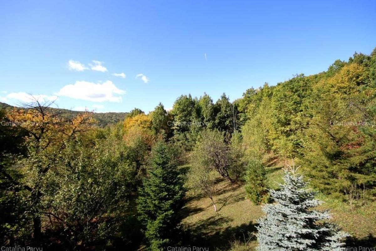 Vanzare vila Valenii de Munte - Drajna de Sus, judet Prahova - 17