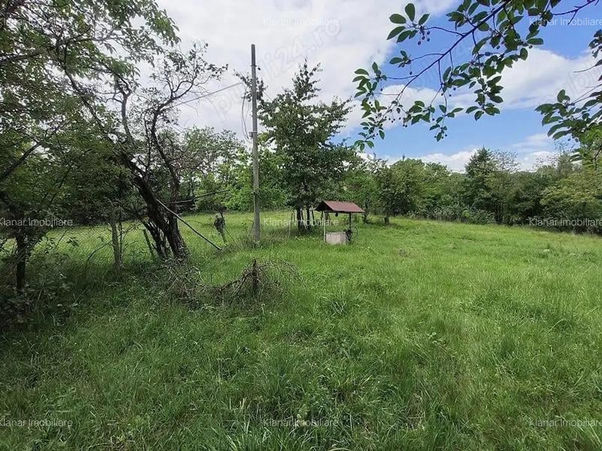 Teren intravilan 7759 mp in Curtea de Arges zona Noaptes - 6