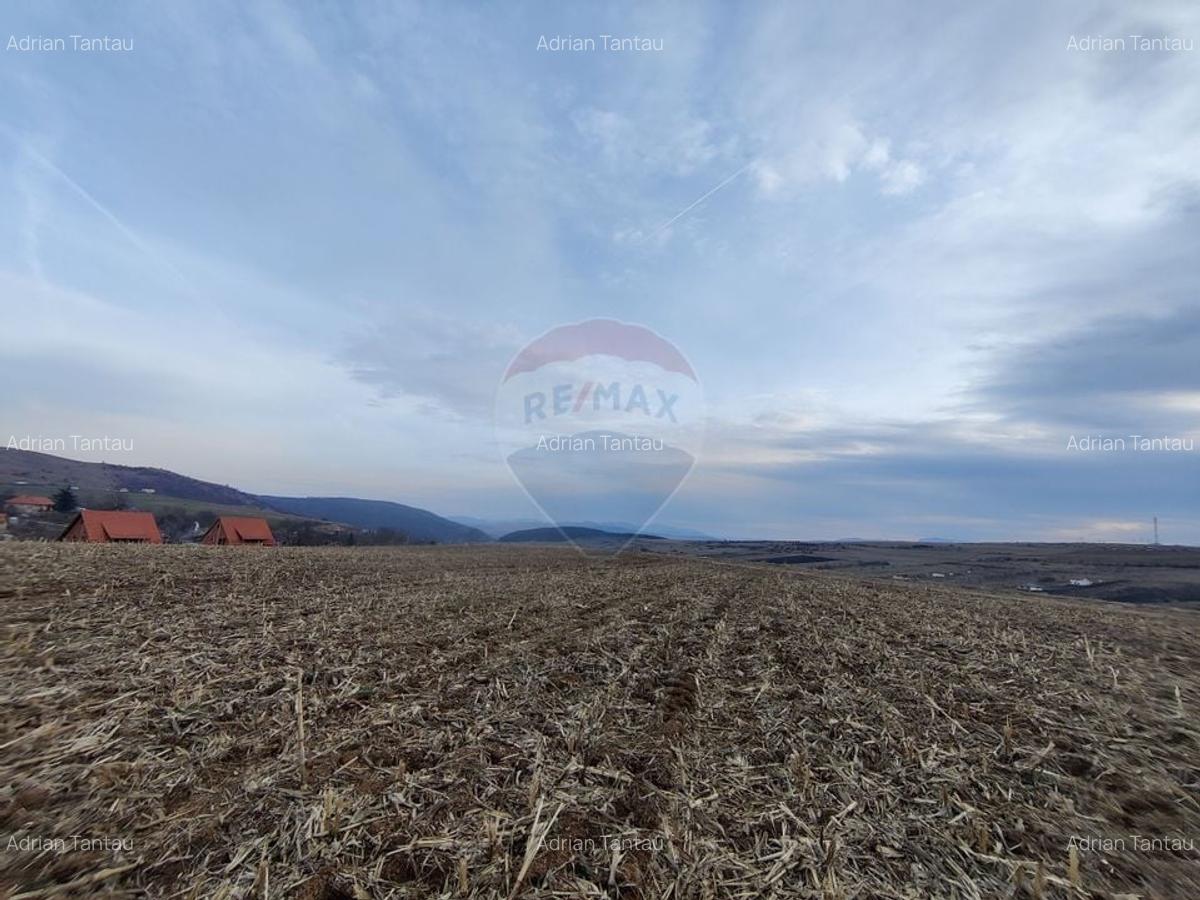 Teren intravilan de vanzare in Salicea, 3000 MP - 4