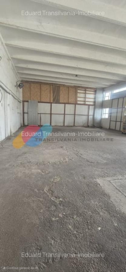 Spatiu industrial 600mp + 1500mp curte - Someseni - 4