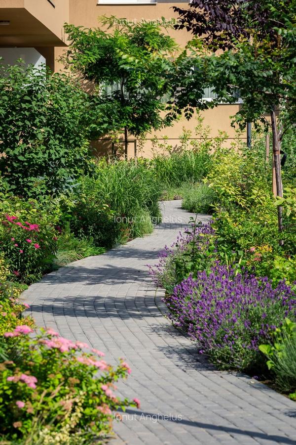 Urban Plaza - Apartamente Premium in Brasov - 17 Urban Plaza - Apartamente Premium in Brasov - 17