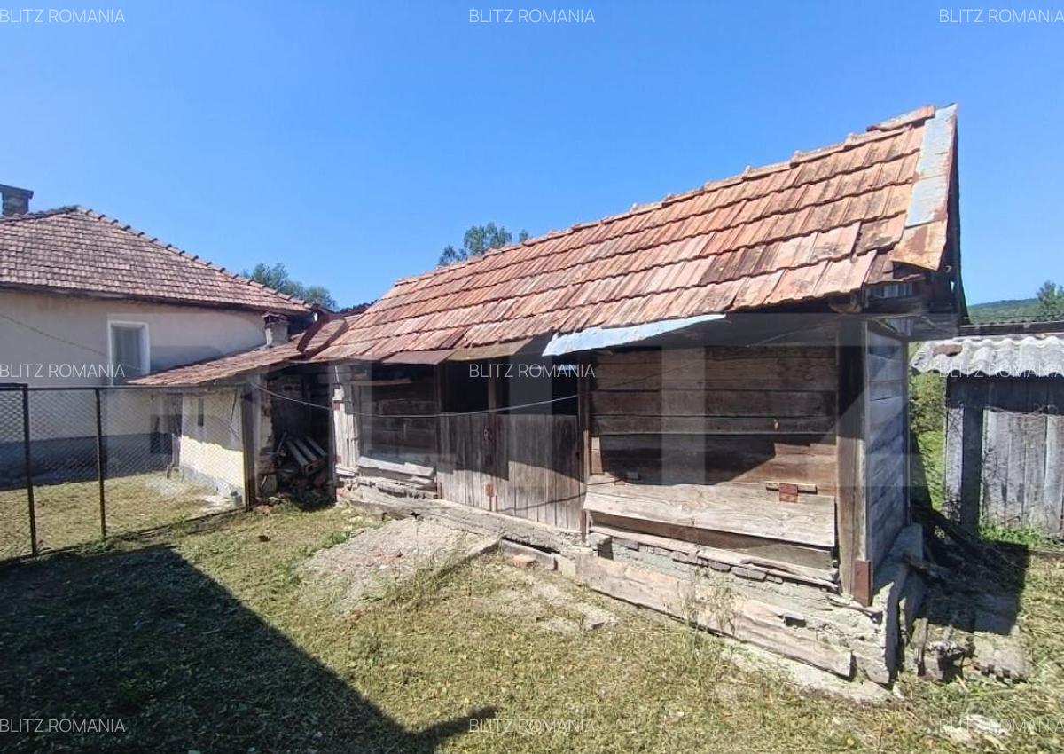 Casa cu 3 camere ?i o bucatarie de vara ?i 1300 mp teren - 7
