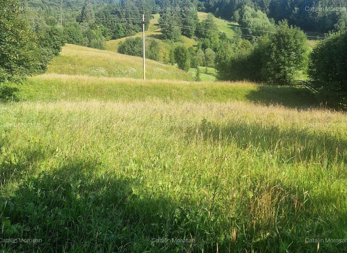 Teren intravilan 6527 mp Stulpicani - Bucovina - 3