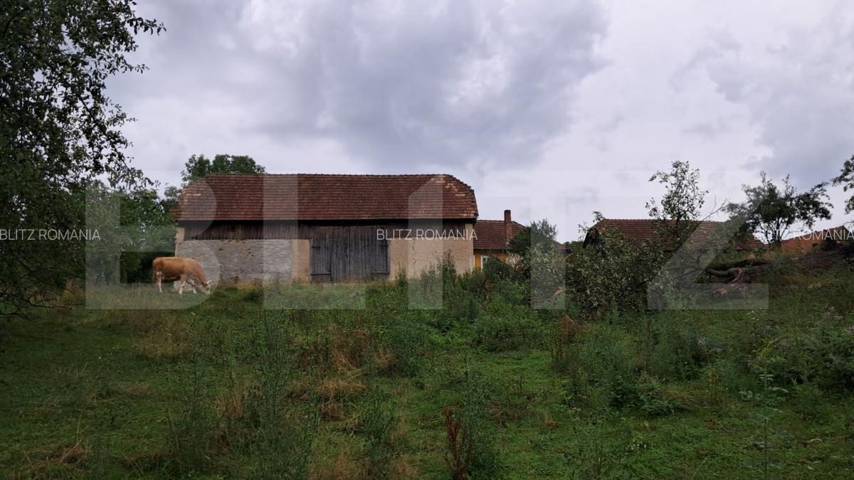 Casa la tara de vanzare, teren de 6000 mp - Cacova Ierii, Comuna Iara, Cluj - 13