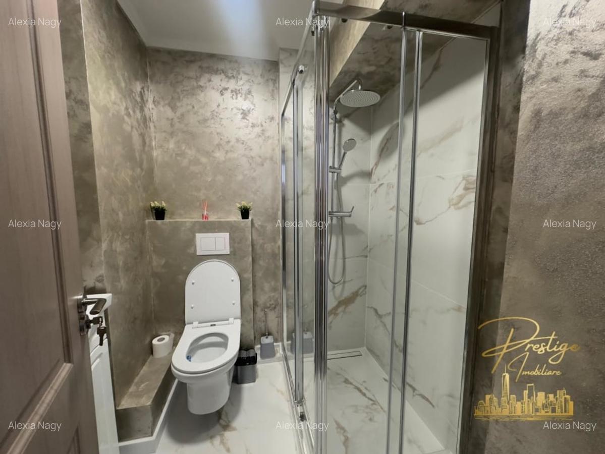 Apartament lux cu 2 dormitoare de inchiriat in zona Nufarul - Oradea - 13